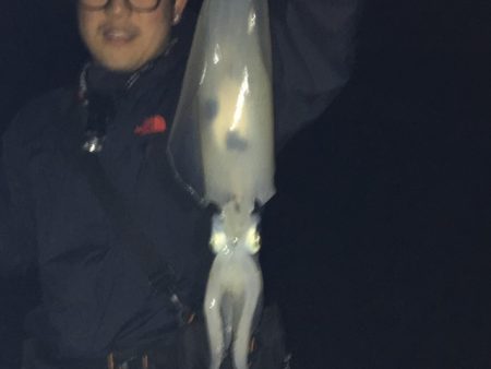 アオリイカ連発